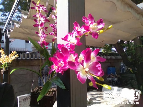 รีวิว i-mobile IQ II มือถือ Android One