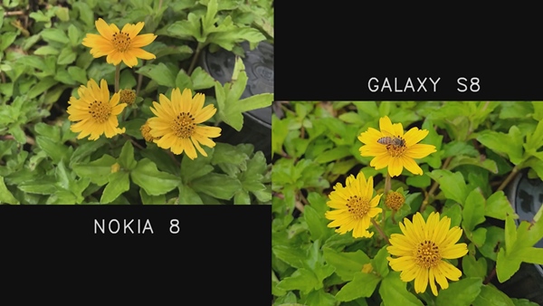 คลิปเทียบกล้อง Nokia 8 กับ Galaxy S8
