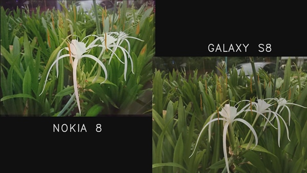 คลิปเทียบกล้อง Nokia 8 กับ Galaxy S8