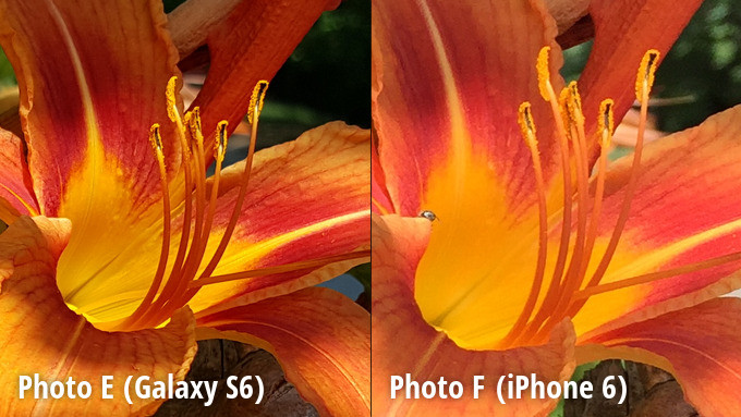 เปรียบเทียบภาพถ่าย Galaxy S6 ชนะ iPhone 6