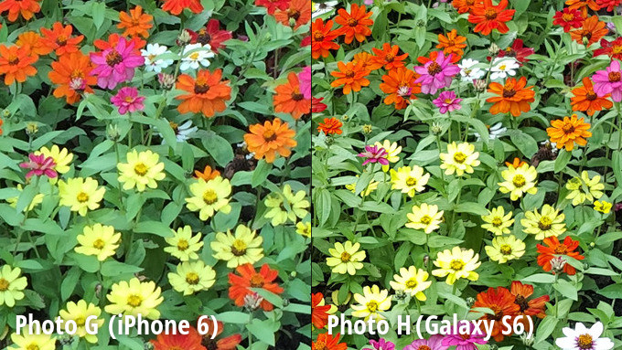 เปรียบเทียบภาพถ่าย Galaxy S6 ชนะ iPhone 6