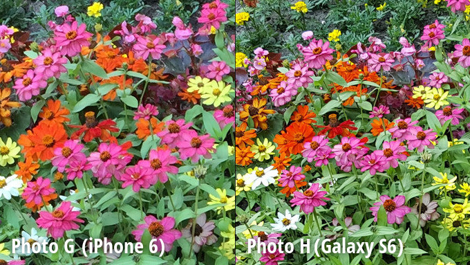 เปรียบเทียบภาพถ่าย Galaxy S6 ชนะ iPhone 6