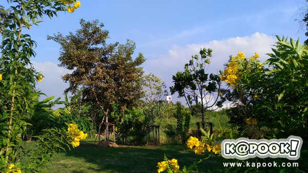 รีวิว ASUS Zenfone 2 Laser