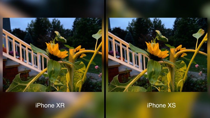 เทียบภาพถ่ายจากกล้อง iPhone XR กับ iPhone XS