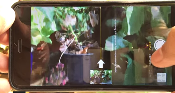 iPhone 6 Plus
