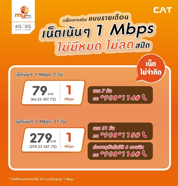 my by CAT