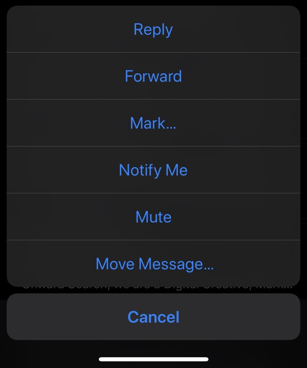 iOS 13
