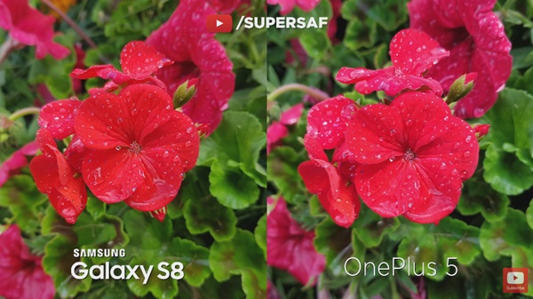 เปรียบเทียบกล้อง OnePlus 5 กับ Galaxy S8