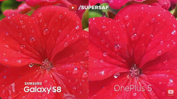 เปรียบเทียบกล้อง OnePlus 5 กับ Galaxy S8