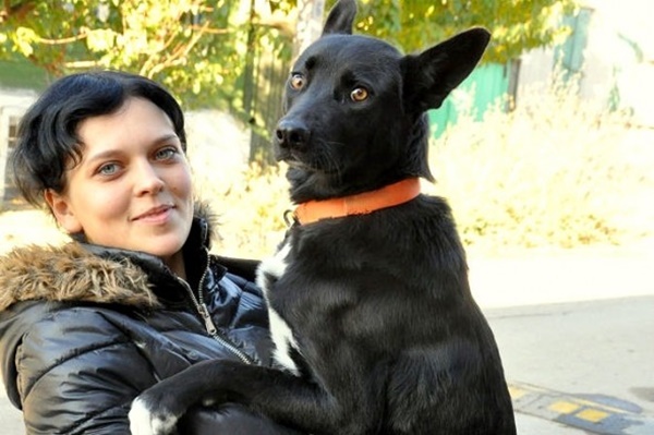 ภาพจาก Life with dogs