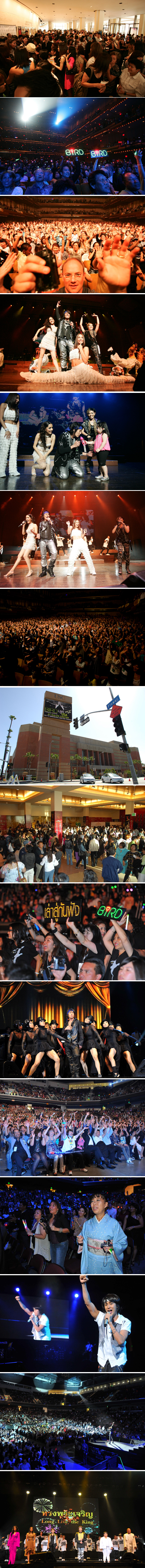 BIRD LIVE IN USA