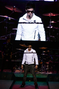 iMusic Artist 2010