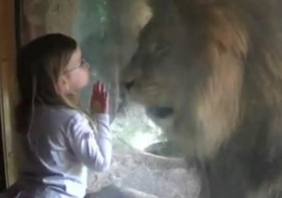 โซเฟียเผชิญหน้ากับสิงโต