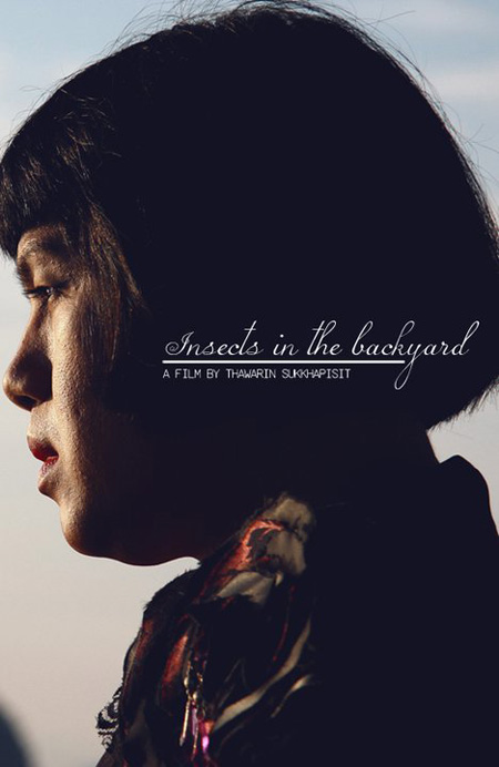 Insects in the backyard