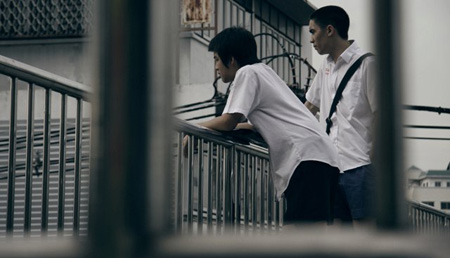 Insects in the backyard