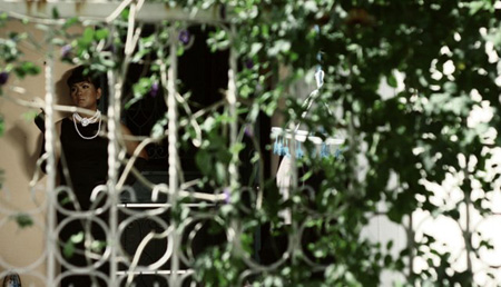 Insects in the backyard