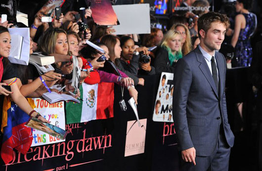 The Twilight Saga : Breaking Dawn Part 1