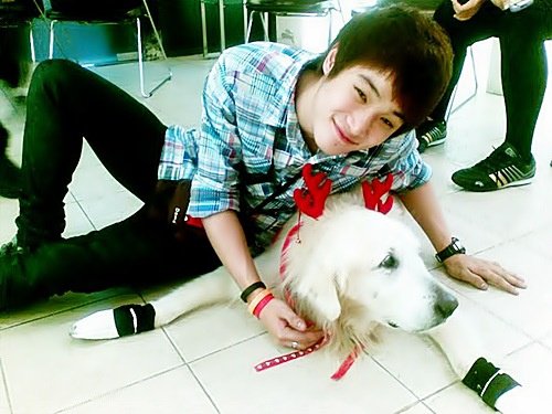 จูเนียร์ the star 7