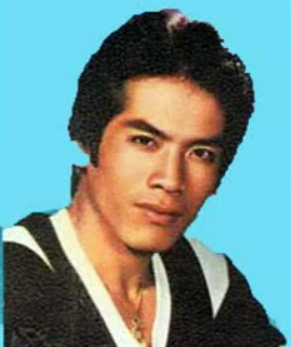 แสนสุข แดนดำเนิน 