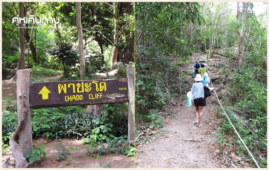ผาชะโด