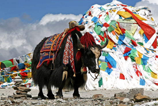 ภูฏาน Bhutan