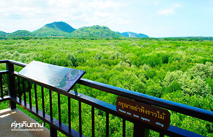 ประจวบคีรีขันธ์