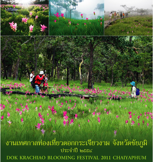 ทุ่งดอกกระเจียว