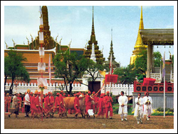 วันพืชมงคล