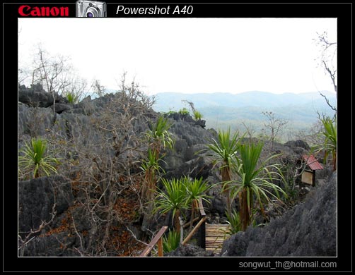 ภูเขาหินปะการัง