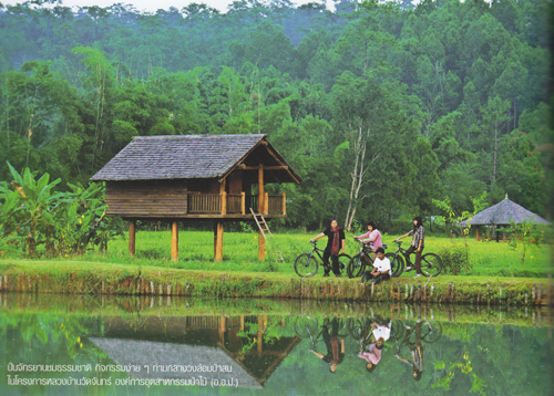 อำเภอกัลยาณิวัฒนา