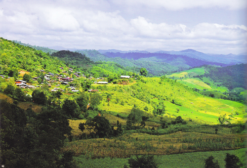 อำเภอกัลยาณิวัฒนา