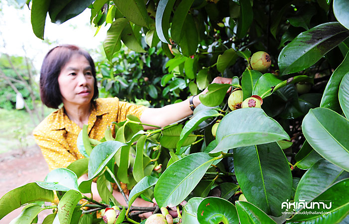 จันทบุรี