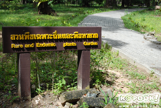 สวนพฤกษศาสตร์ภาคใต้ 