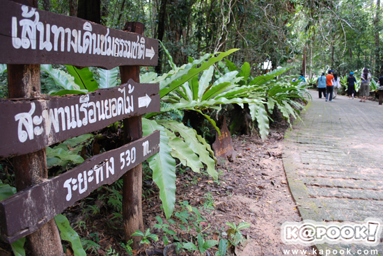 สวนพฤกษศาสตร์ภาคใต้
