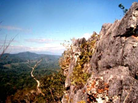 อุทยานแห่งชาติน้ําหนาว