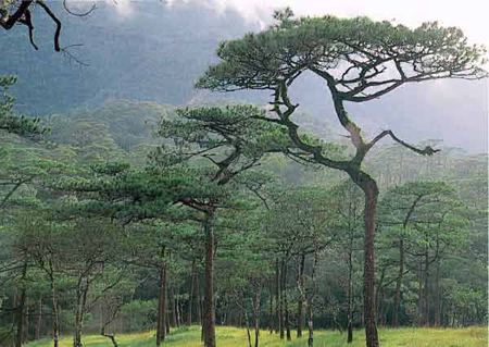 อุทยานแห่งชาติน้ําหนาว
