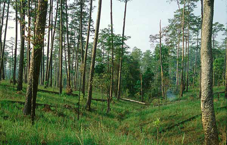 อุทยานแห่งชาติน้ําหนาว