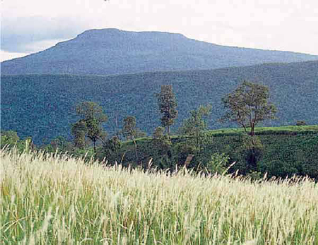 อุทยานแห่งชาติน้ําหนาว