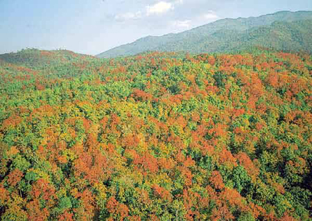 อุทยานแห่งชาติน้ําหนาว