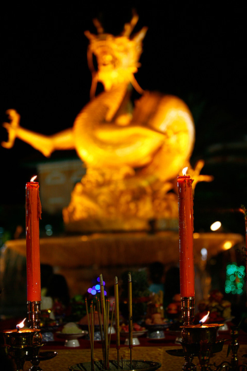 วันตรุษจีน วันตรุษจีน 2554