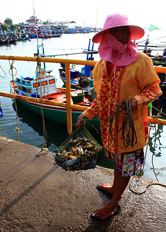 ปูชักสะพานยก