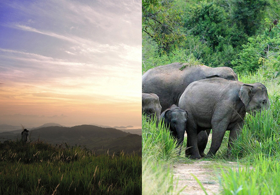 อุทยานแห่งชาติกุยบุรี