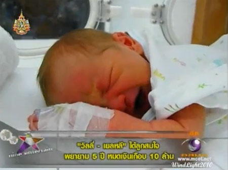 ลูกวิลลี่ แมคอินทอช