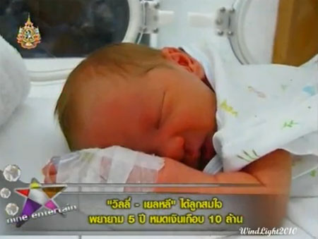 ลูกวิลลี่ แมคอินทอช