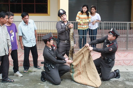 นายตำรวจตรวจหัวใจ
