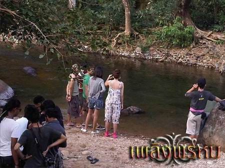 เพลิงพรหม