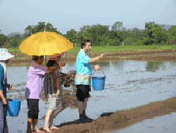 ดร.อาจอง