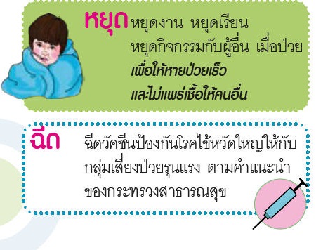 ไข้หวัด2009