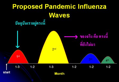 ไข้หวัดใหญ่ 2009