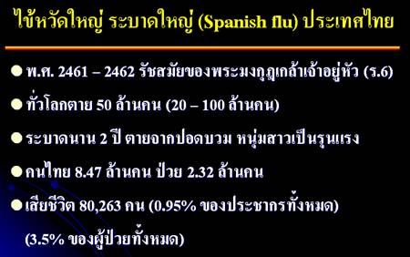 ไข้หวัดใหญ่ 2009